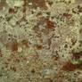 Surface