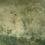 Cement wall 2