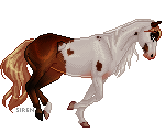 Cantering Colours Cantering- recolours available by 8Siren on DeviantArt