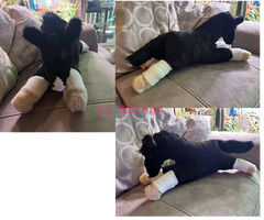 Horse Plush