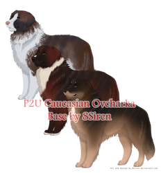 P2U Caucasian Ovcharka Base