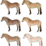 Norwegian Fjord Adopts- 6/6 Open