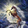 The heavenly horse