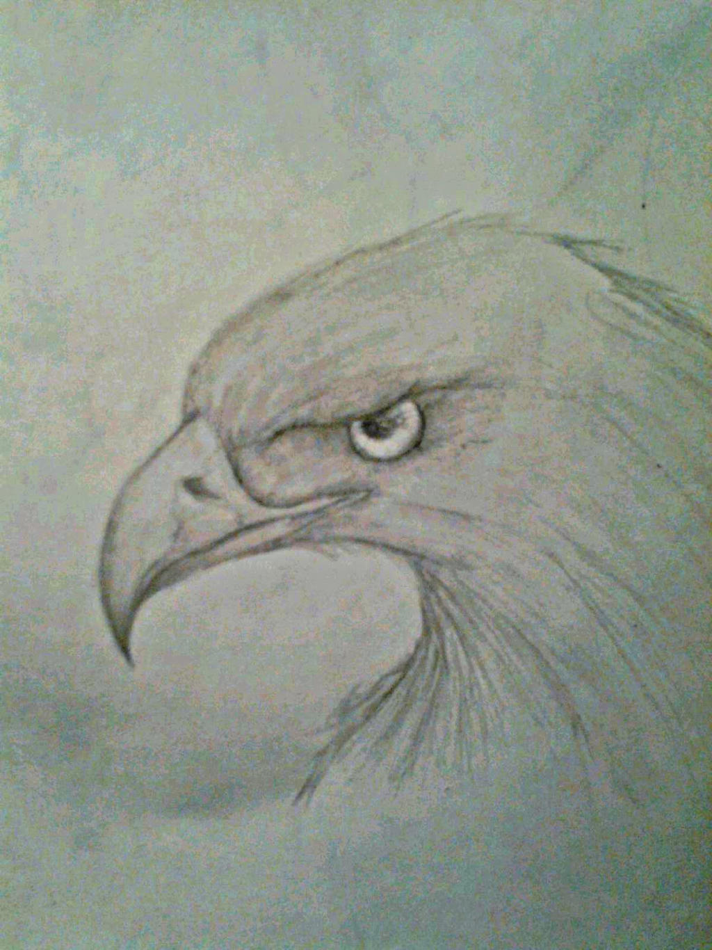 Work in Progress -- Eagle