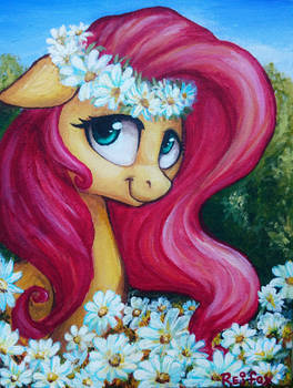 Fluttershy on the canvas