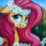 Fluttershy on the canvas