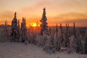 Lapland sunset