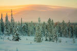 Lapland by Esveeka-Stock