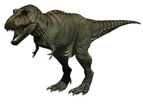 T RexTyrannosaurus Rex Png T Rex Dinosaur Png Dinosaur Png 