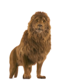 Aslan The Chronicles Of Narnia The Lion PNG, Clipart, Aslan