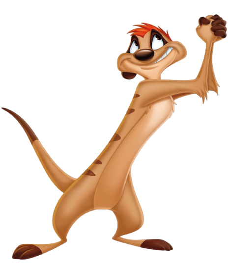 Timon What Timon PNG by jakeysamra on DeviantArt