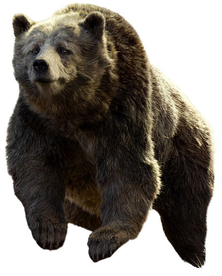 Baloo Render Baloo (2016) PNG by jakeysamra on DeviantArt