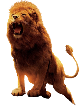 Aslan Odev Aslan PNG by jakeysamra on DeviantArt