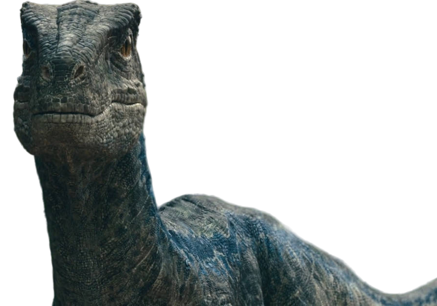 Blue Raptor Render Velociraptor Blue Jurassic World Png at Shawn Keim blog