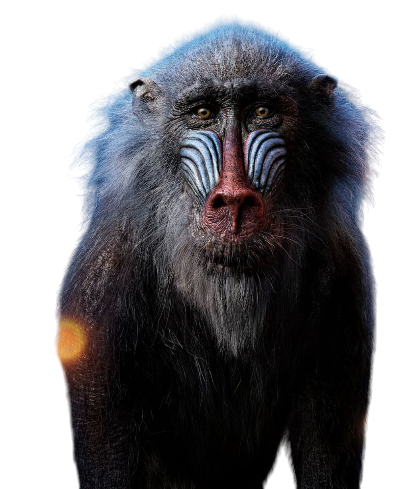 Refeiki Rafiki (LA) PNG by jakeysamra on DeviantArt