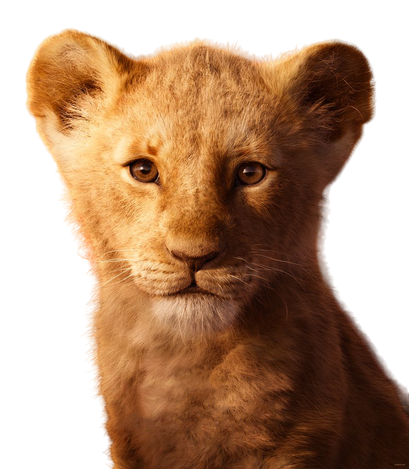 Young Simba (LA) PNG by jakeysamra on DeviantArt