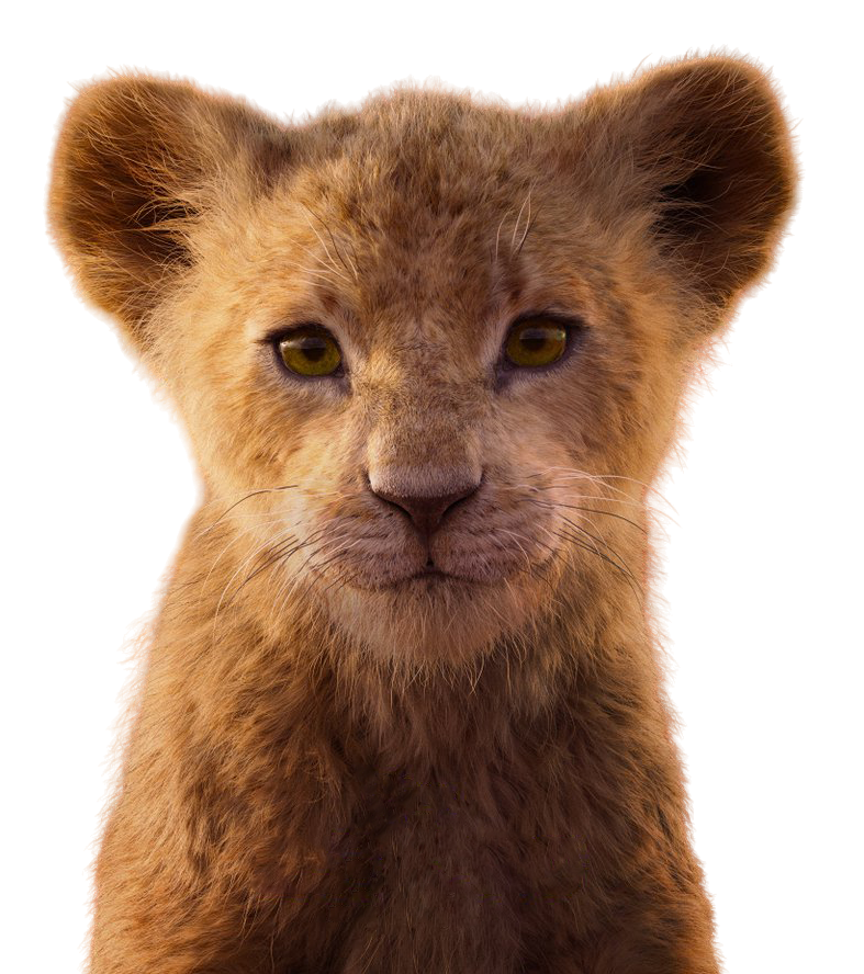 Nala Rfraim Young Nala (LA) PNG by jakeysamra on DeviantArt