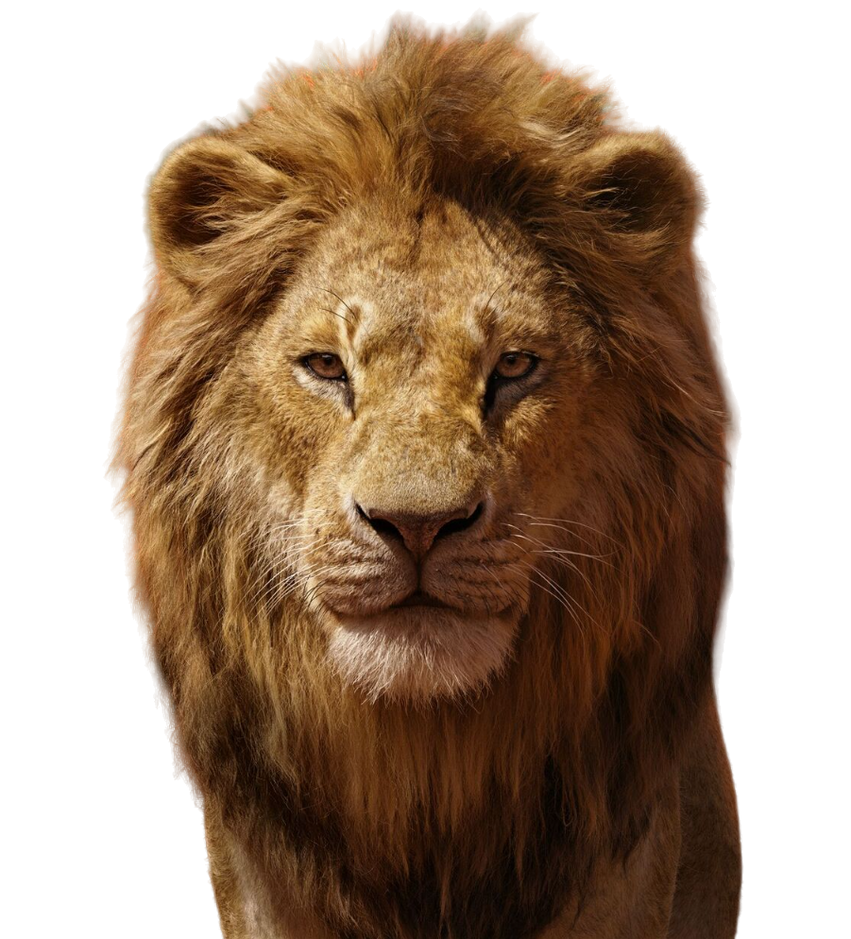 Adult Simba (LA) PNG by jakeysamra on DeviantArt