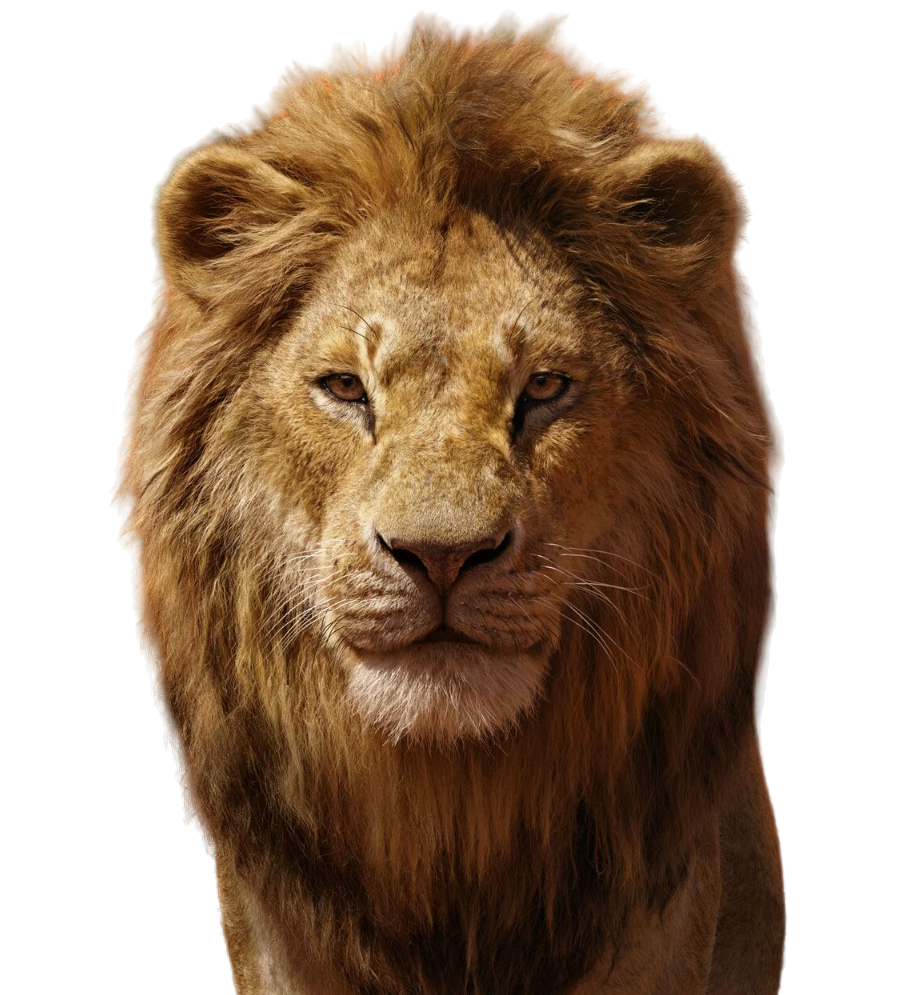 Simba Vector Deviantart Adult Simba (LA) PNG by jakeysamra on DeviantArt
