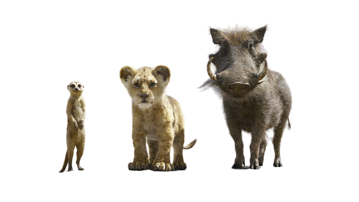 Simba Turtle Young Simba,Timon and Pumbaa (LA) PNG by jakeysamra on DeviantArt
