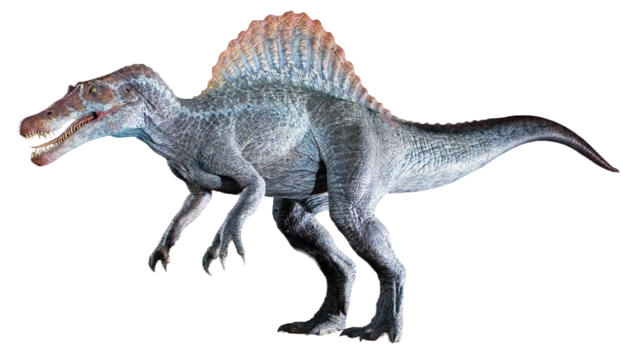 Spinosaurus (JP3) PNG by jakeysamra on DeviantArt