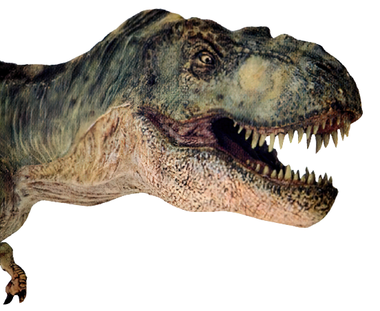 Bull T-Rex (JPIII) PNG by jakeysamra on DeviantArt