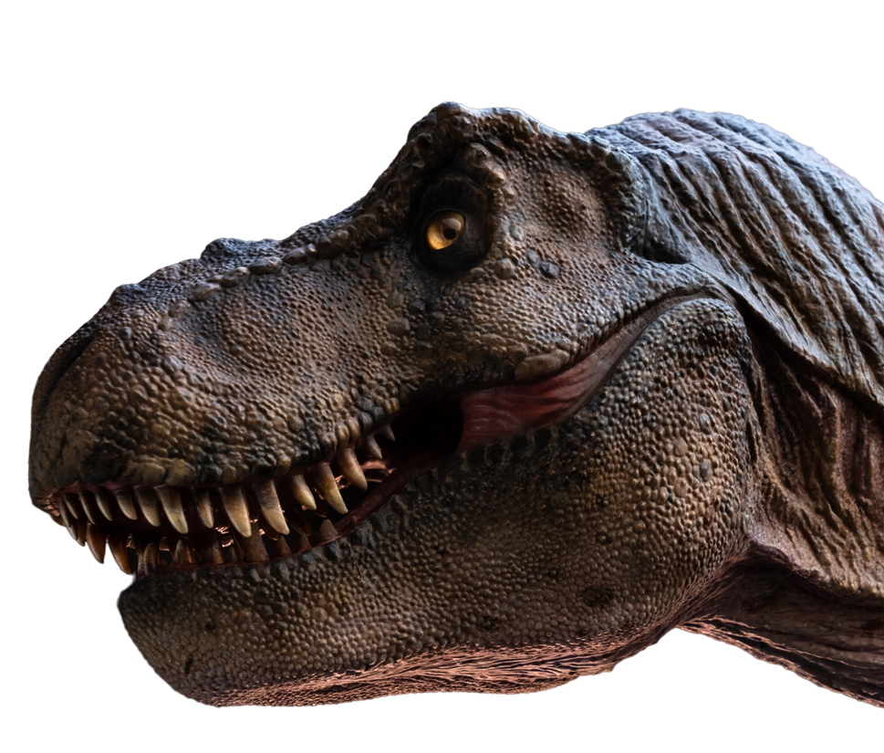 Rexy (Jurassic Park) PNG by jakeysamra on DeviantArt