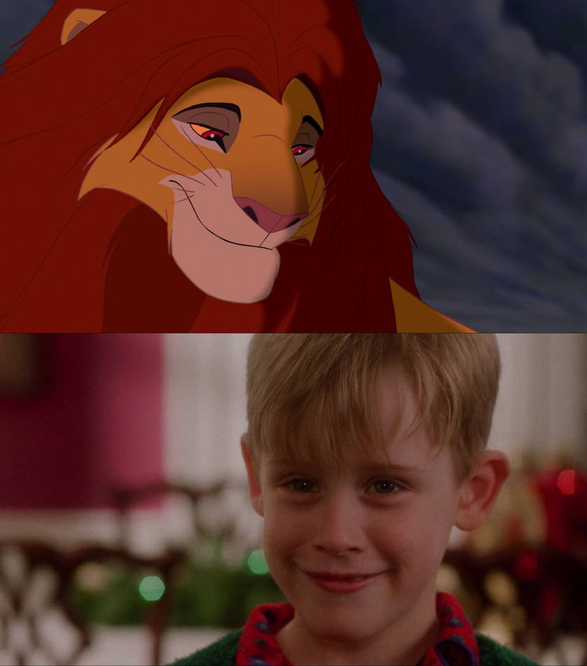 Simba Smiles at Kevin McCallister by jakeysamra on DeviantArt