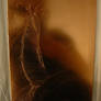 Copper Plate - Etched Feather