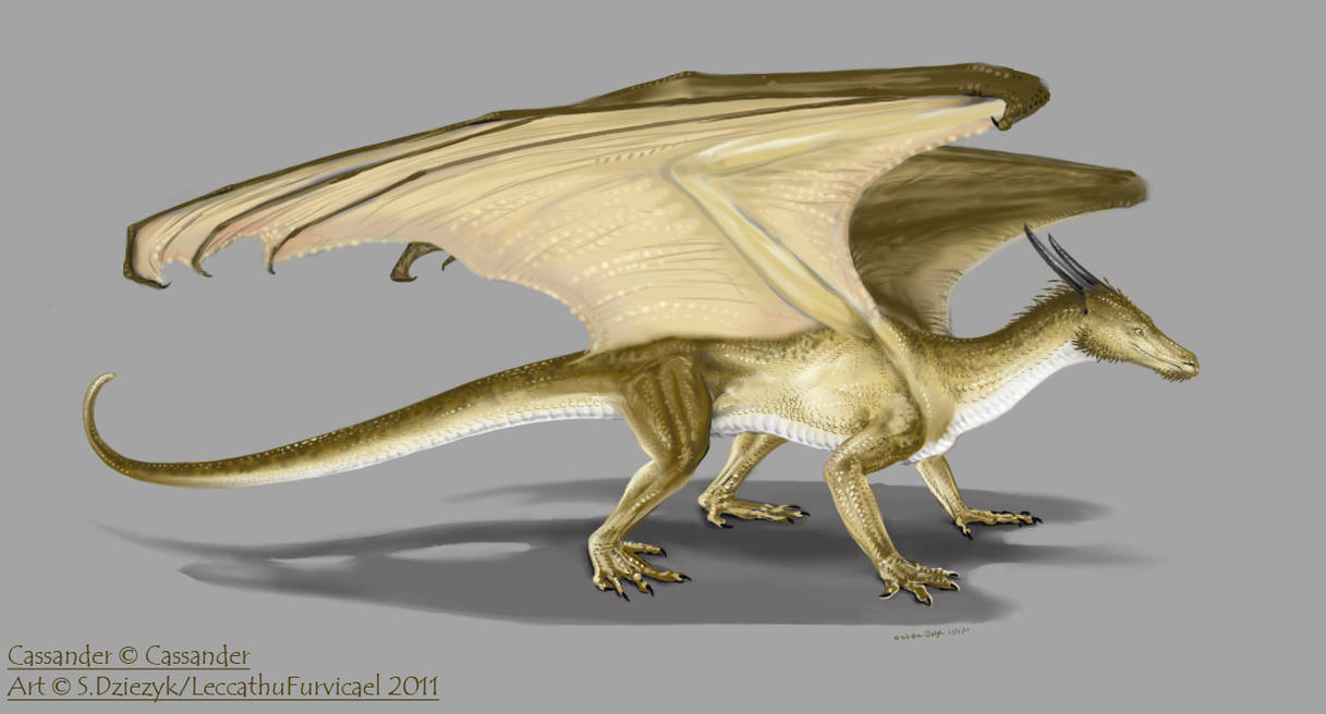 Cassander Portrait by LeccathuFurvicael on DeviantArt