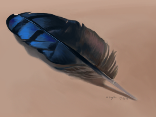 Color Study Blue Jay Feather By Leccathufurvicael On Deviantart Color Study Blue Jay Feather By Leccathufurvicael On Deviantart