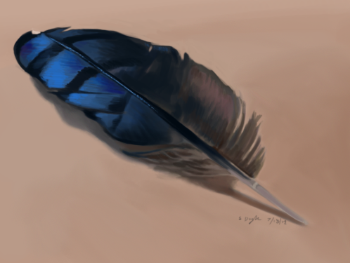 Color Study - Blue Jay Feather