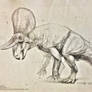 Poised - Zuniceratops christopheri