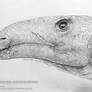 The Mistaken One - Mantellisaurus atherfieldensis