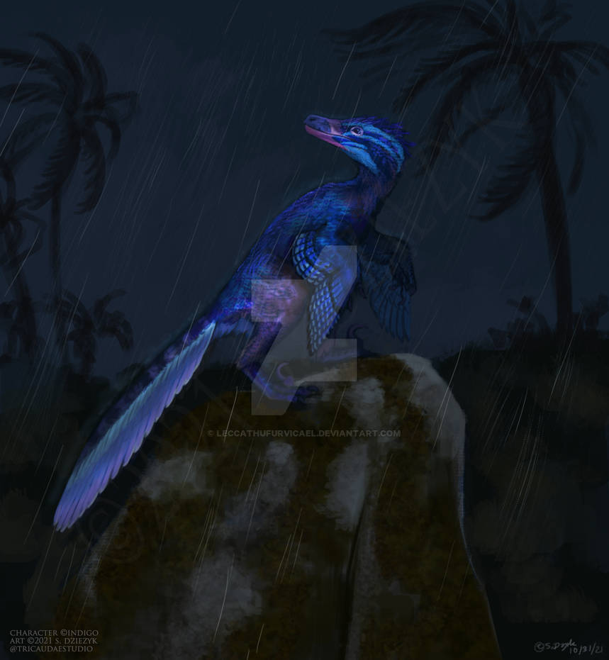 An Incoming Squall by LeccathuFurvicael on DeviantArt