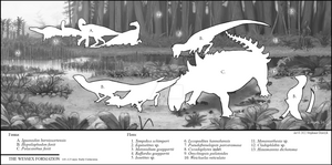 The Wessex Formation - Species Infographic