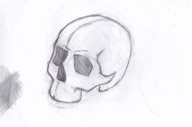 skull