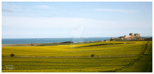 Bamburgh Castle