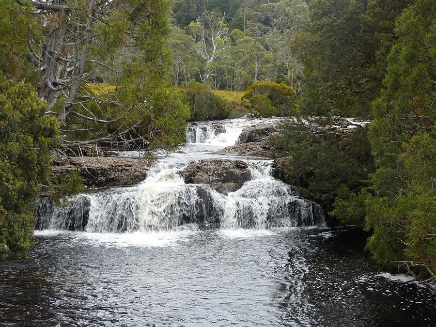 The Cascades - Tasmania