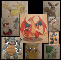 PokeBags