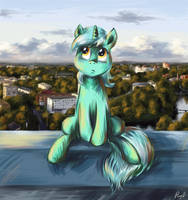 Ponies in Kaliningrad - Lyra