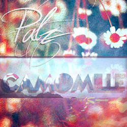 Camomille -  Prod Pabzzz