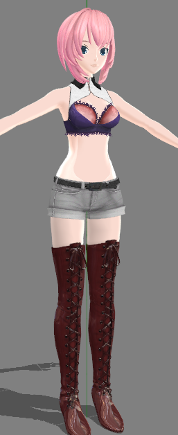 MMD DT WIP