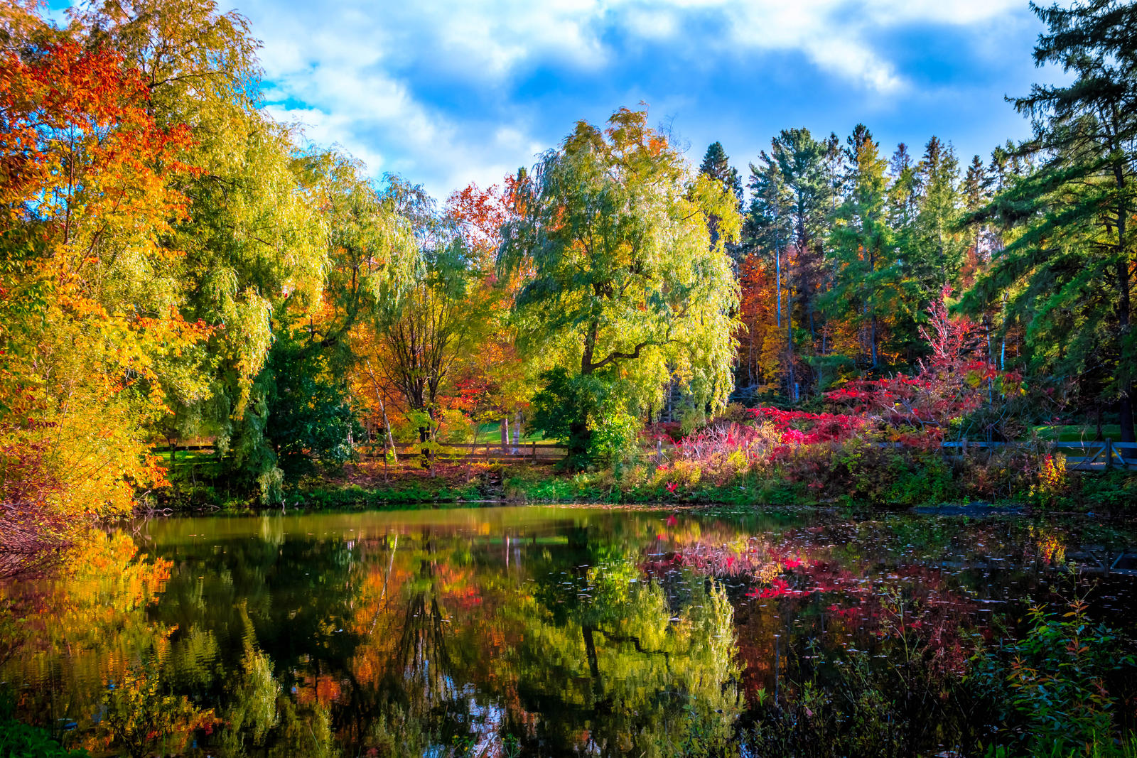 Autumn Color Palette