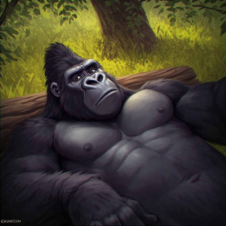Cy31 Gorilla (48) by Cy31 on DeviantArt