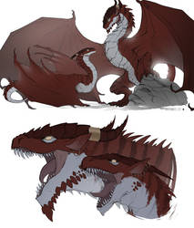 Timeless: Dragon Twins - Dragon Forms