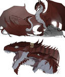 Timeless: Dragon Twins - Dragon Forms