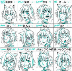 Pixiv Expression Practice Meme for Rua by sonialeong