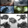 Dragon Concept Studies