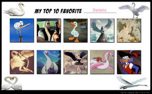 My Top 10 Favorite Swans